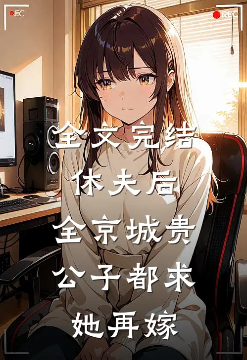全文完结休夫后，全京城贵公子都求她再嫁