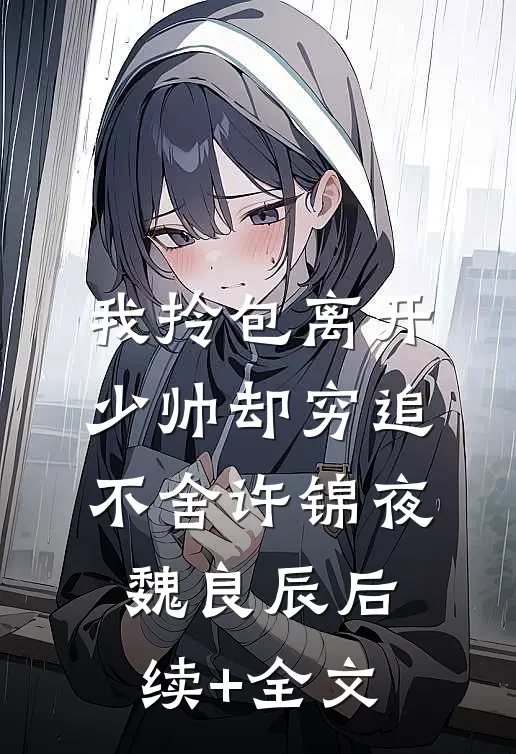我拎包离开，少帅却穷追不舍许锦夜魏良辰后续+全文