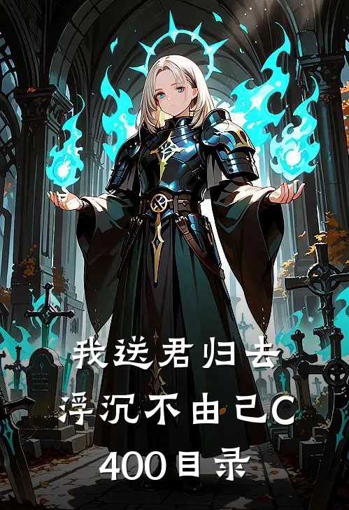我送君归去，浮沉不由己C400目录
