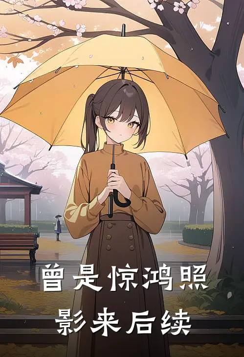 曾是惊鸿照影来后续