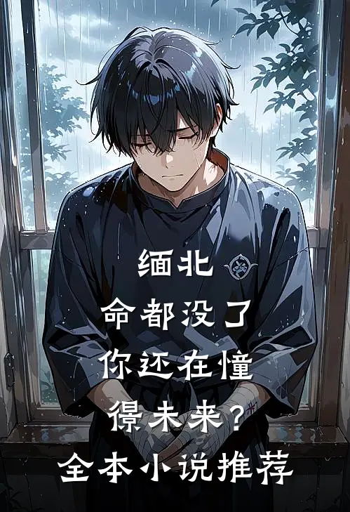 缅北：命都没了，你还在憧憬未来？全本小说推荐