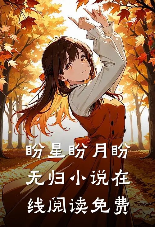 盼星盼月盼无归小说在线阅读免费