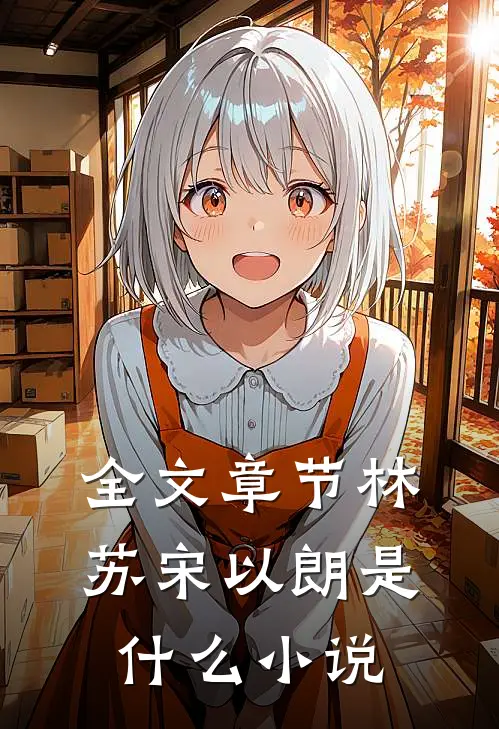 全文章节林苏宋以朗是什么小说