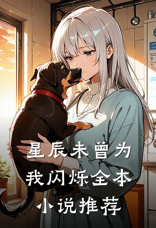 星辰未曾为我闪烁全本小说推荐