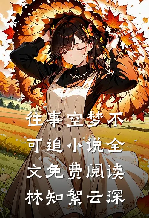 往事空梦不可追小说全文免费阅读林知絮云深