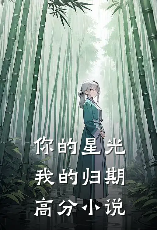你的星光我的归期高分小说