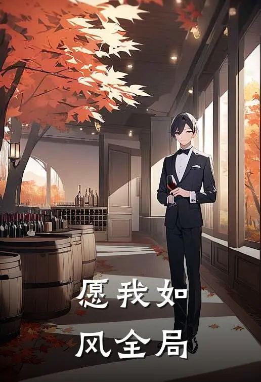 愿我如风全局