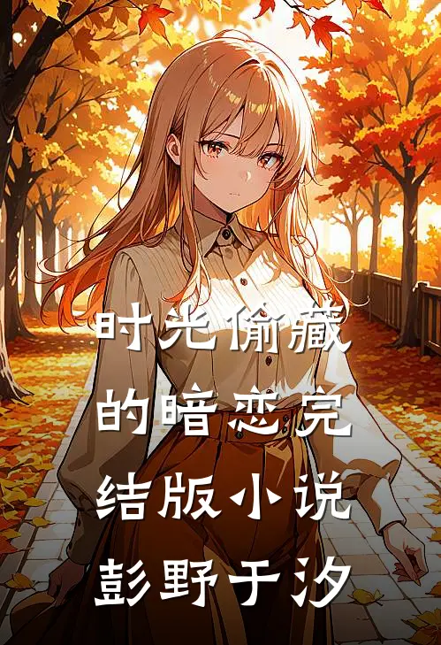 时光偷藏的暗恋完结版小说彭野于汐