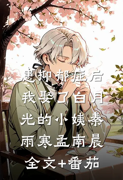 患抑郁症后，我娶了白月光的小姨秦雨寒孟南晨全文+番茄