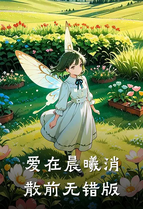 爱在晨曦消散前无错版