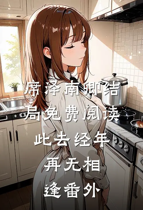 席泽南卿结局免费阅读此去经年，再无相逢番外