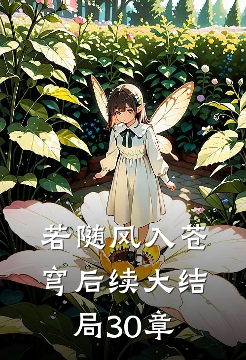 若随风入苍穹后续大结局30章
