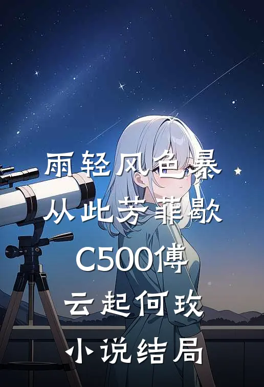 雨轻风色暴，从此芳菲歇C500傅云起何玫小说结局