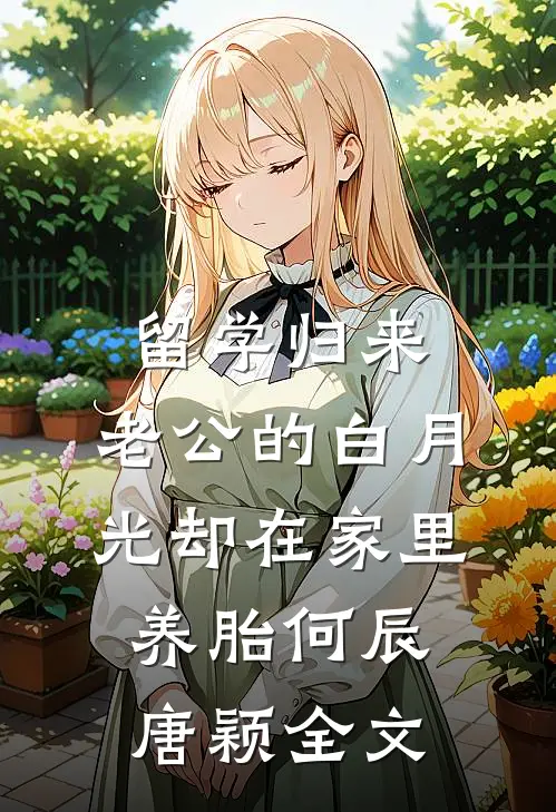 留学归来，老公的白月光却在家里养胎何辰唐颖全文