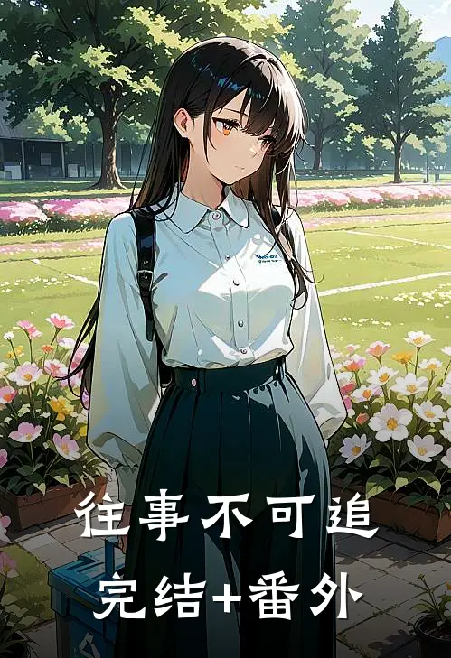 往事不可追完结+番外