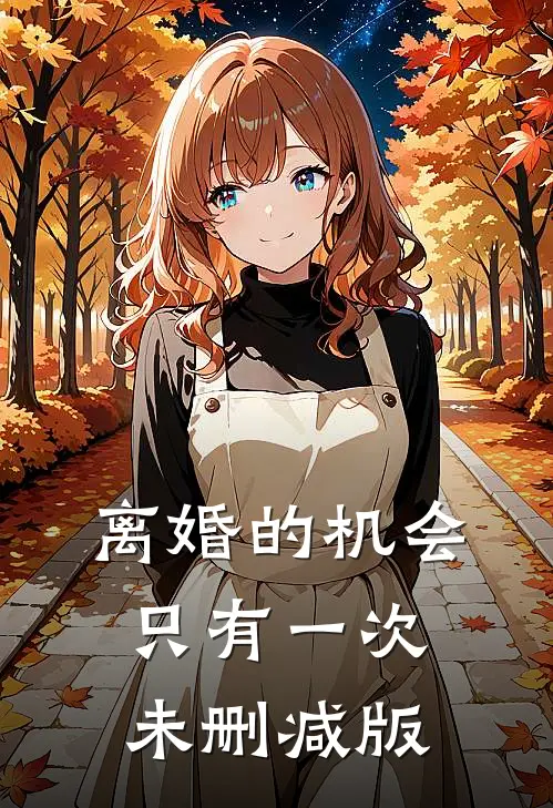 离婚的机会只有一次未删减版
