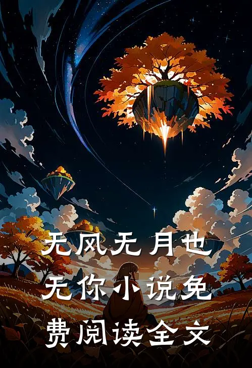 无风无月也无你小说免费阅读全文