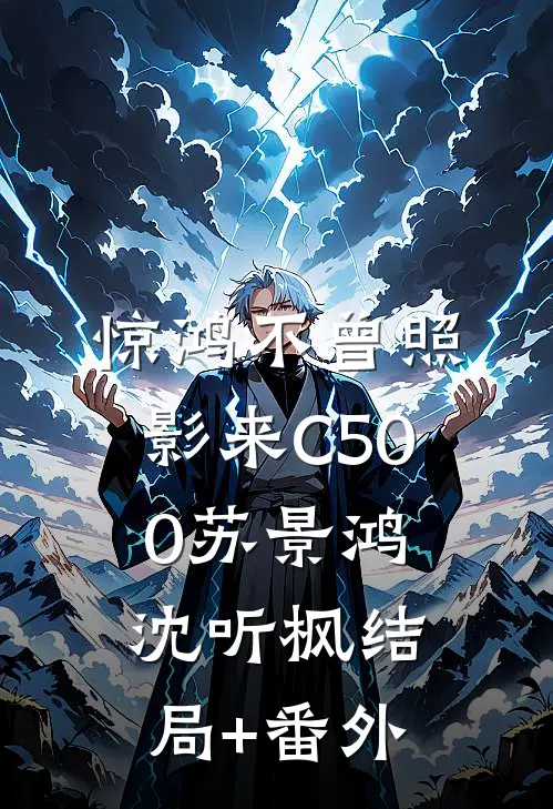 惊鸿不曾照影来C500苏景鸿沈听枫结局+番外