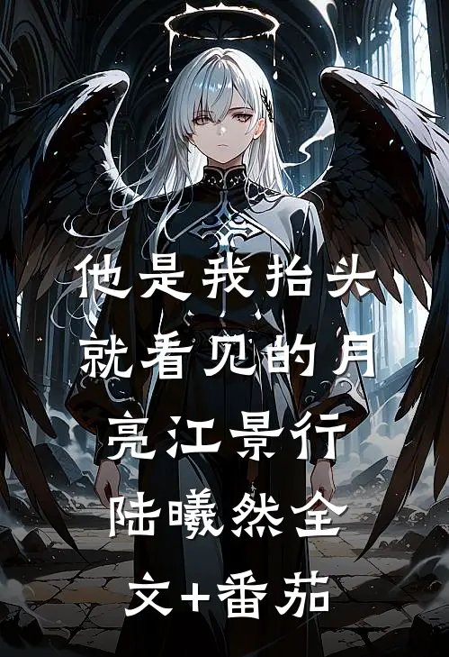 他是我抬头就看见的月亮江景行陆曦然全文+番茄