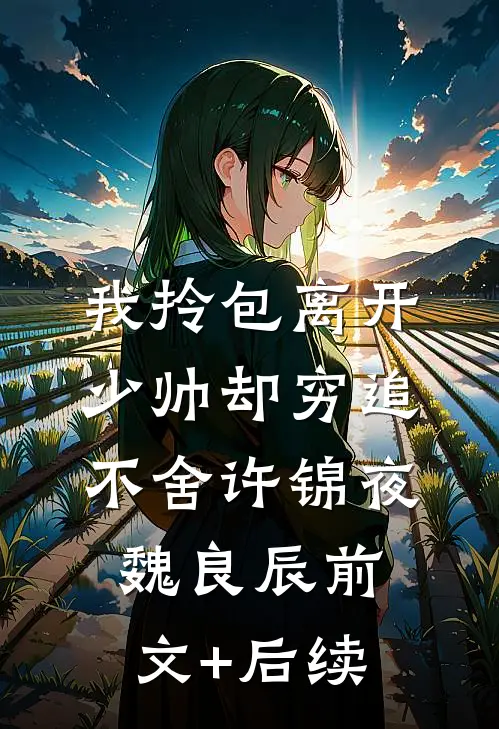 我拎包离开，少帅却穷追不舍许锦夜魏良辰前文+后续