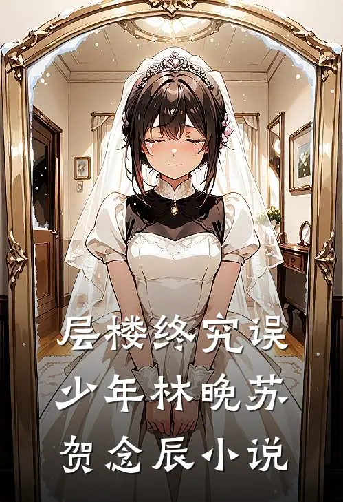层楼终究误少年林晚苏贺念辰小说
