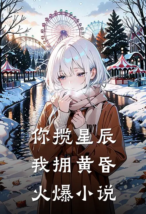 你揽星辰我拥黄昏火爆小说