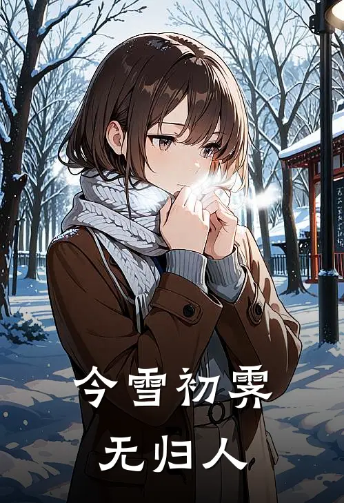 今雪初霁无归人