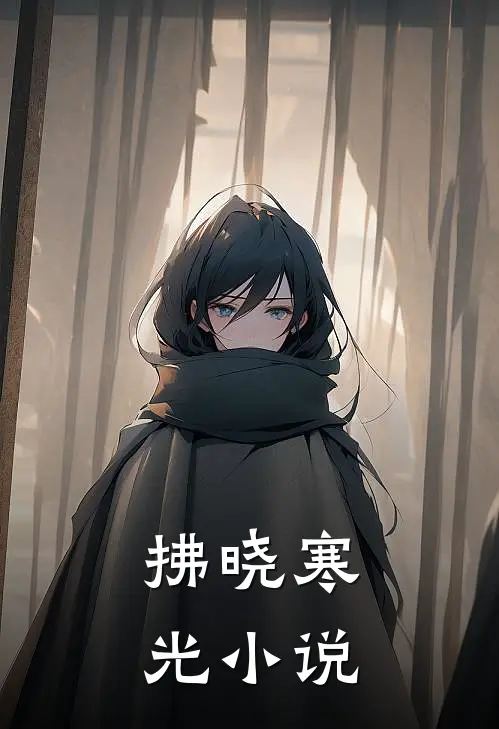 拂晓寒光小说