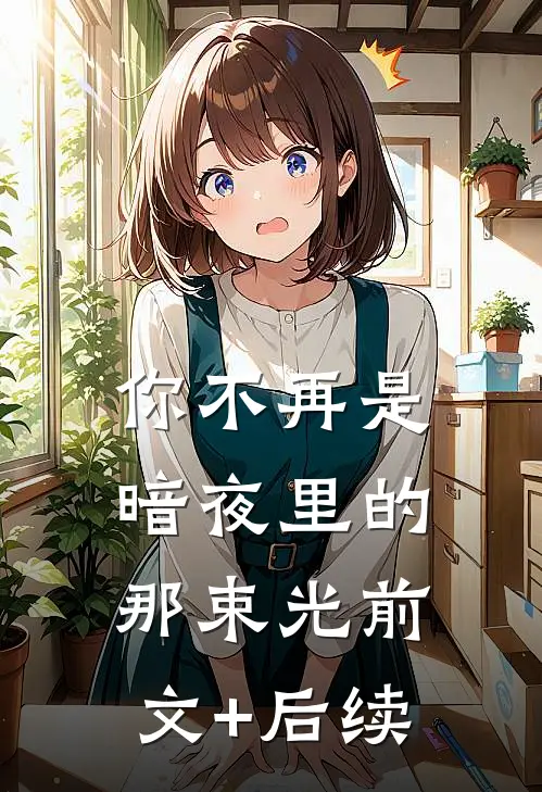 你不再是暗夜里的那束光前文+后续