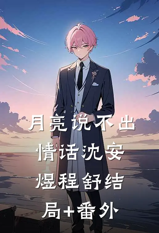 月亮说不出情话沈安煜程舒结局+番外