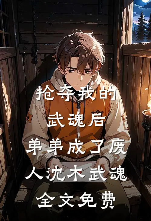 抢夺我的武魂后，弟弟成了废人沈木武魂全文免费