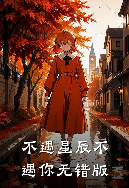 不遇星辰不遇你无错版
