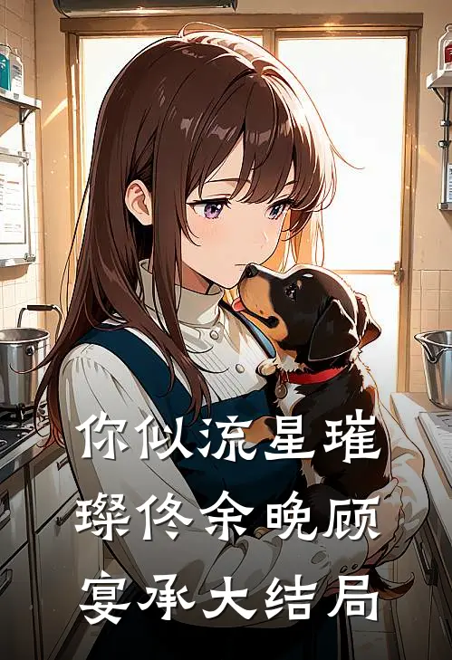 你似流星璀璨佟余晚顾宴承大结局