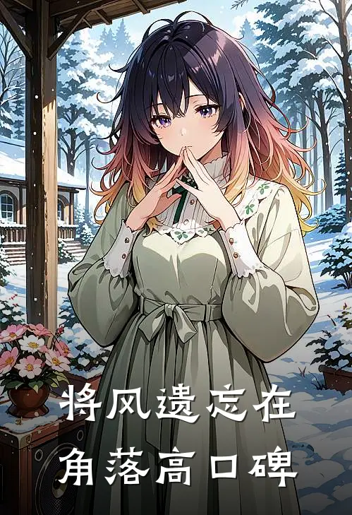 将风遗忘在角落高口碑