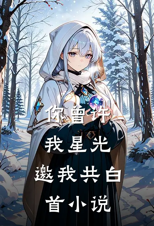 你曾许我星光，邀我共白首小说
