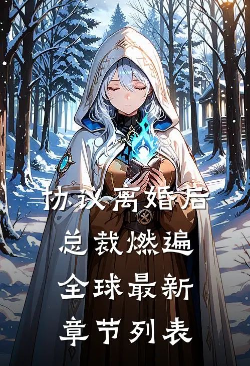 协议离婚后，总裁燃遍全球最新章节列表