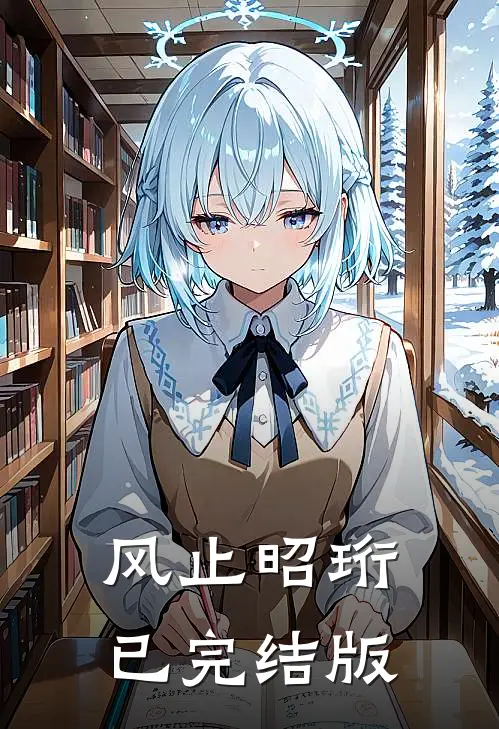 风止昭珩已完结版