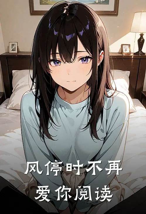 风停时不再爱你阅读