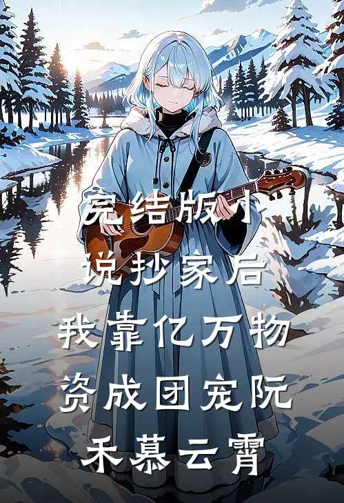 完结版小说抄家后，我靠亿万物资成团宠阮禾慕云霄