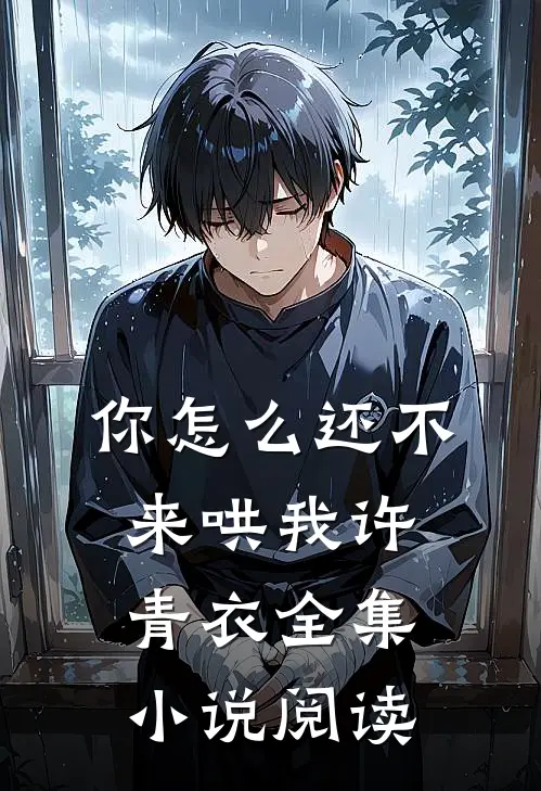 你怎么还不来哄我许青衣全集小说阅读