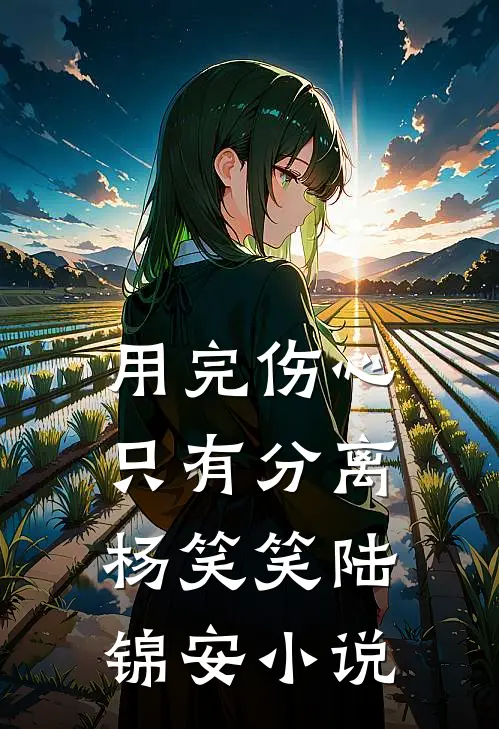 用完伤心，只有分离杨笑笑陆锦安小说