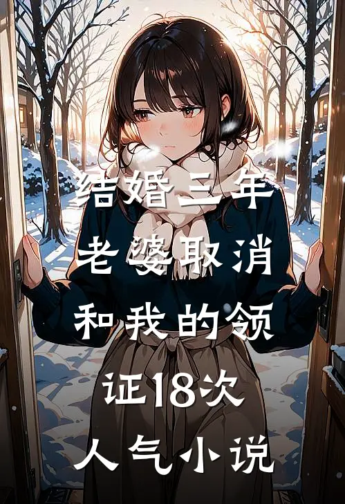 结婚三年，老婆取消和我的领证18次人气小说
