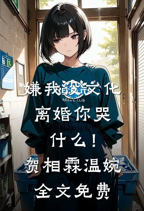 嫌我没文化，离婚你哭什么！贺相霖温婉全文免费