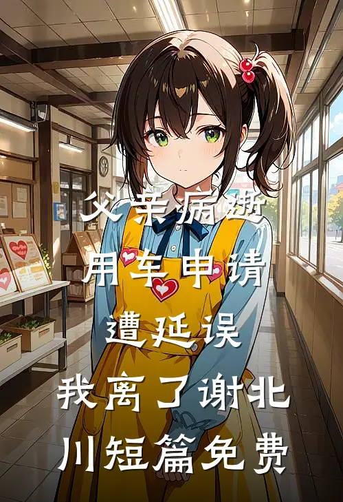 父亲病逝用车申请遭延误，我离了谢北川短篇免费