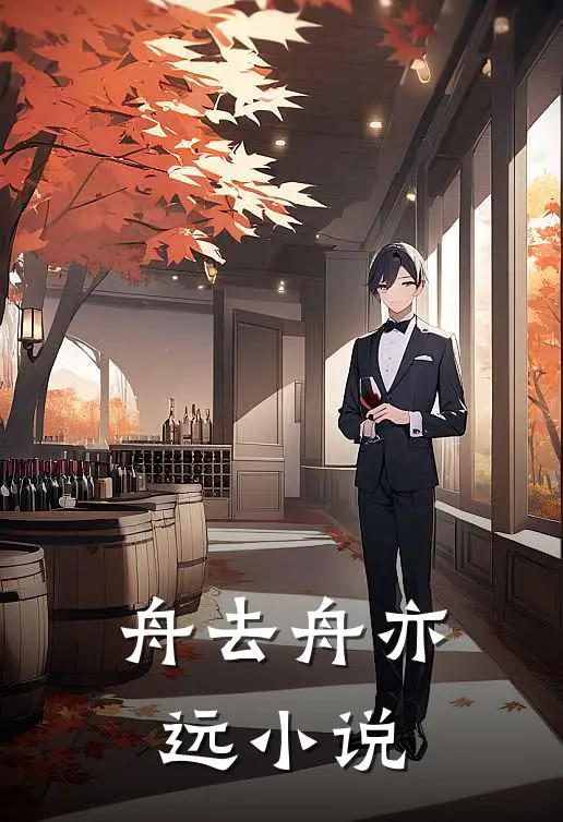舟去舟亦远小说