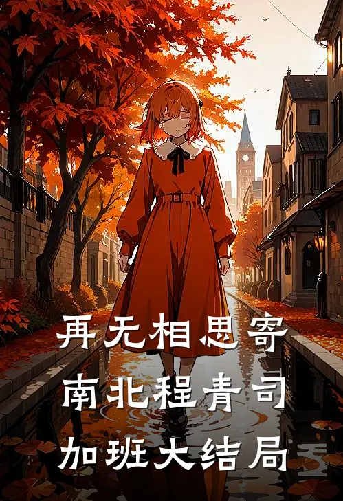 再无相思寄南北程青司加班大结局