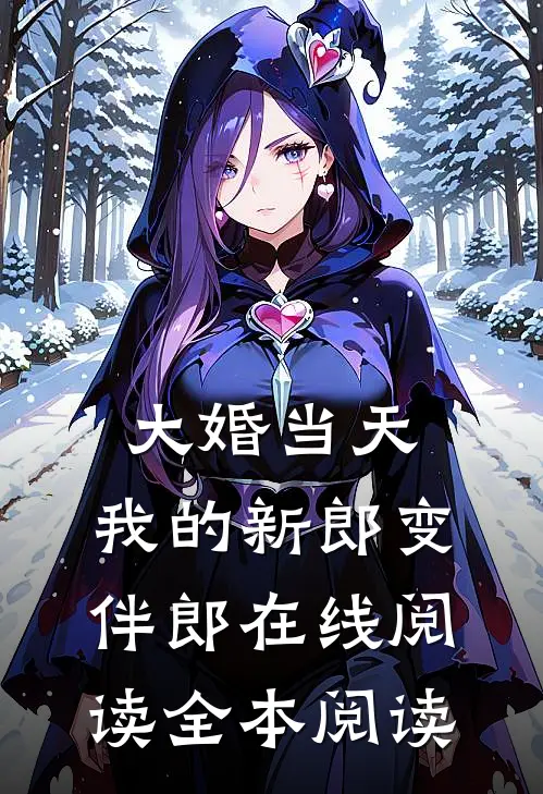 大婚当天，我的新郎变伴郎在线阅读全本阅读