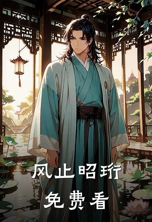 风止昭珩免费看