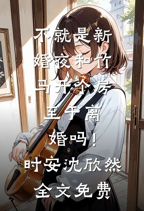 不就是新婚夜和竹马开个房，至于离婚吗！时安沈欣然全文免费