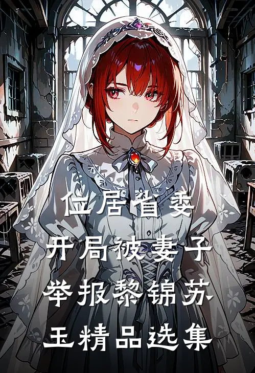 位居省委,开局被妻子举报黎锦苏玉精品选集